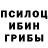 Галлюциногенные грибы мицелий Ilsiya Bahtiarova