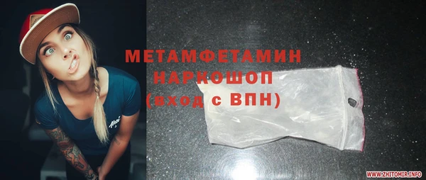 гидра Надым