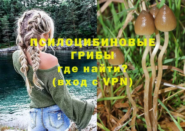 дурь Навашино