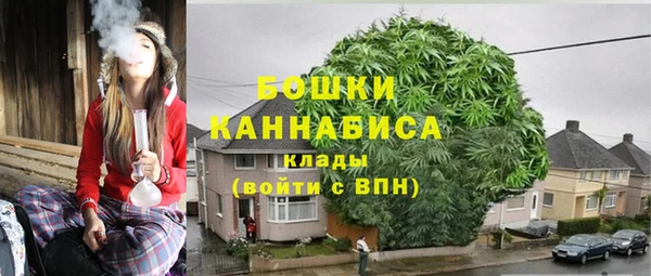 гидра Надым