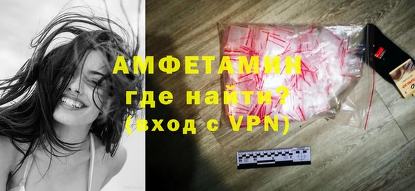 гидра Надым