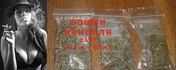 гидра Надым