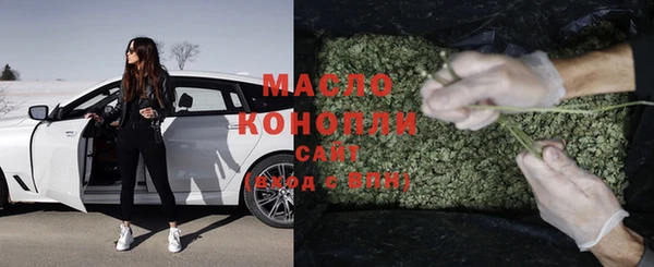 гидра Надым