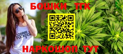 шишки Абакан