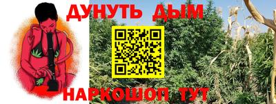 шишки Абакан