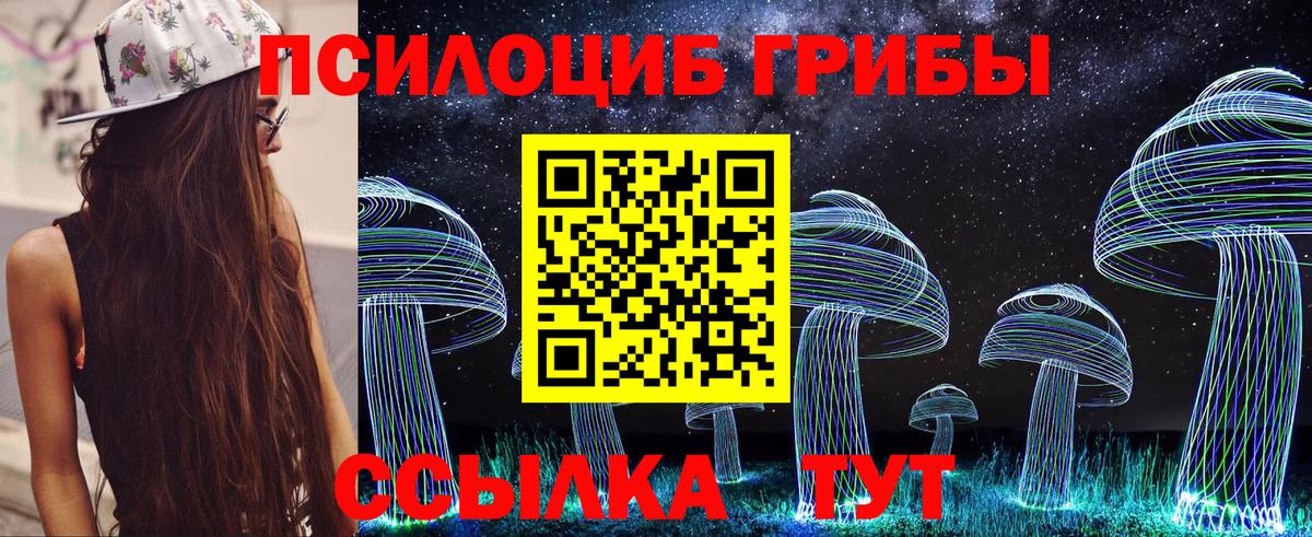Псилоцибиновые грибы Psilocybine cubensis Абакан