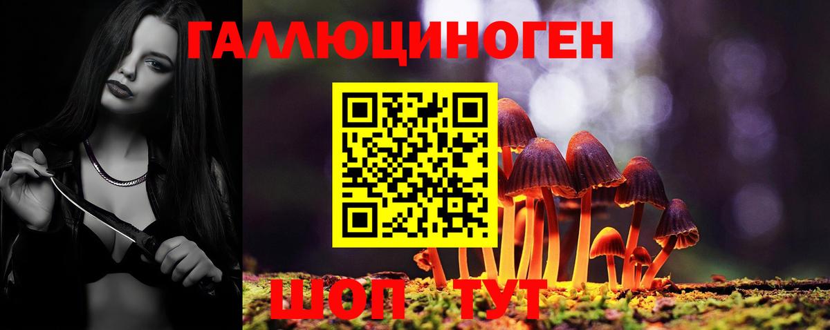 Абакан  Галлюциногенные грибы GOLDEN TEACHER  Вход с VPN  Галлюциногенные грибы прущие грибы 