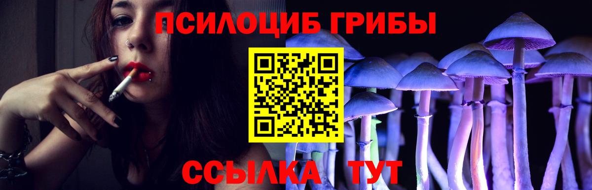 Галлюциногенные грибы Cubensis  Псилоцибиновые грибы Psilocybine cubensis  Абакан 